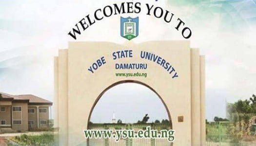 Yobe state University