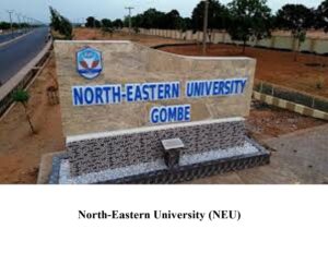 North-Eastern University (NEU)