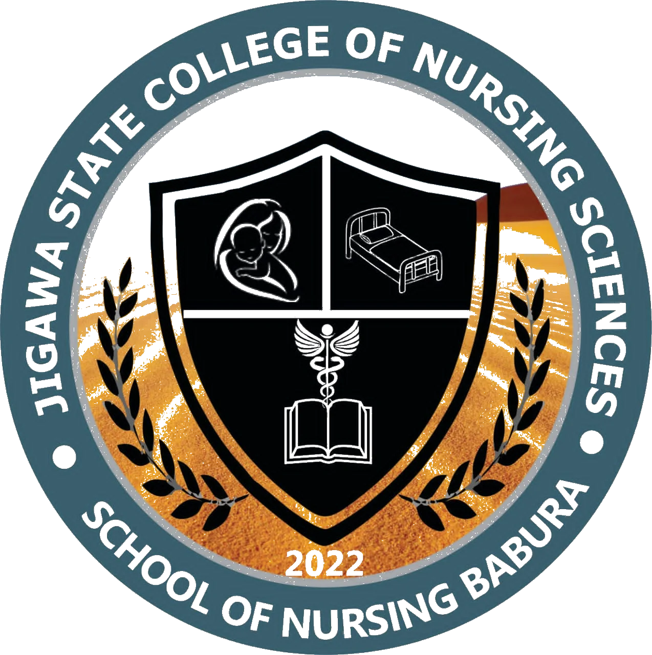 Jigawa State College of Nursing Sciences