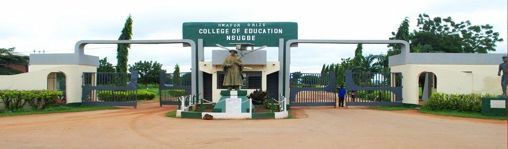 Nwafor Orizu College of Education, Nsugbe